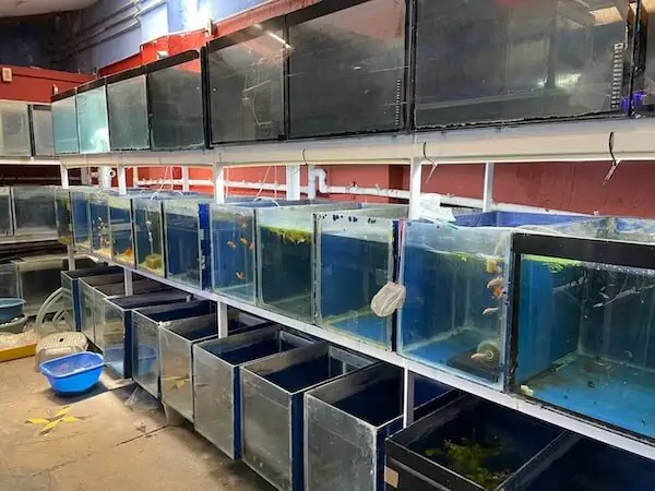 Fachada del acuario Acuario 23