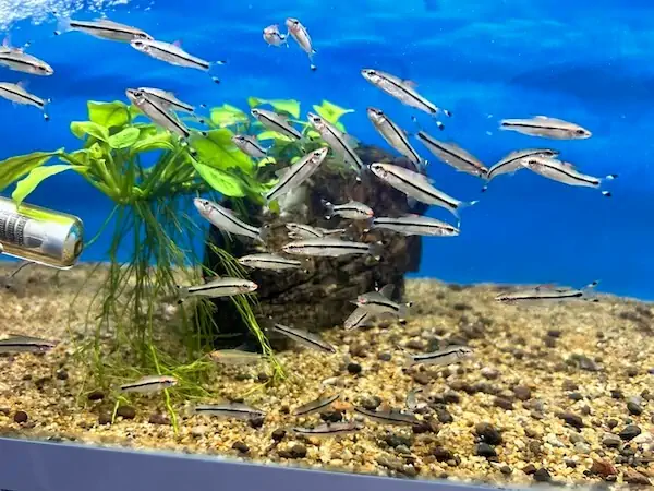 Fachada del acuario Acuario Acuabici