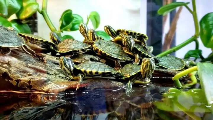 Fachada del acuario Acuario Amazonia