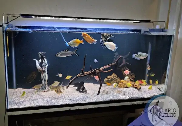 Fachada del acuario Acuario Angelito Oaxaca
