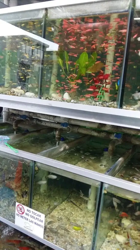 Fachada del acuario Acuario AQUAHOBBY