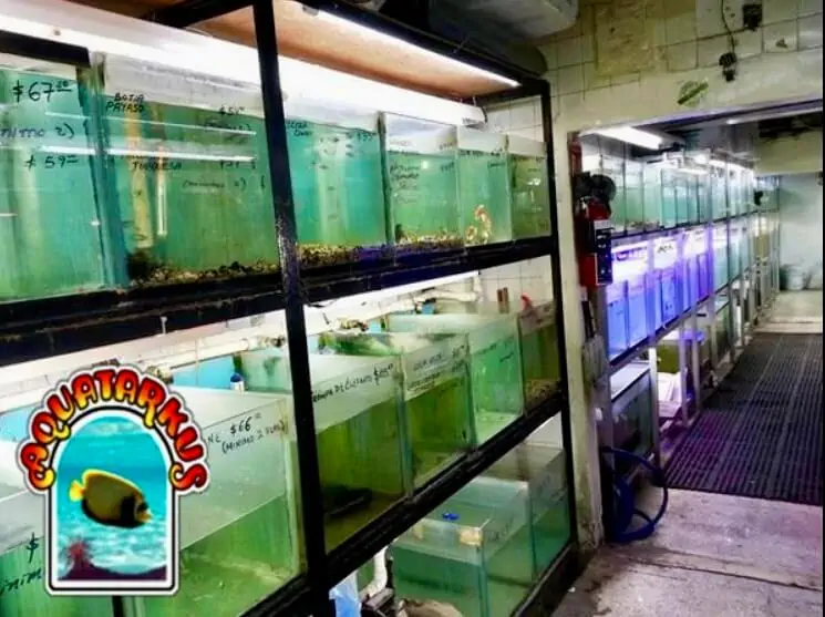Fachada del acuario Acuario Aquatarkus