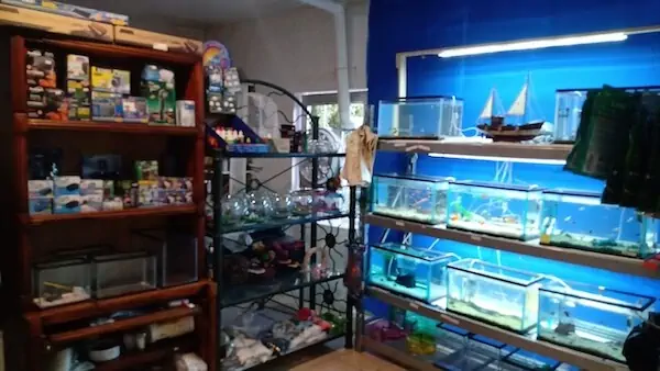 Fachada del acuario Acuario Aquaxalli