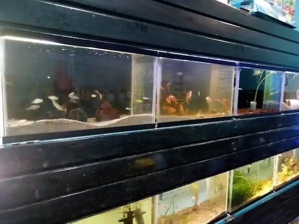 Fachada del acuario Acuario Auakan