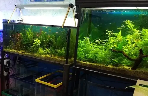 Fachada del acuario Acuario AUIC
