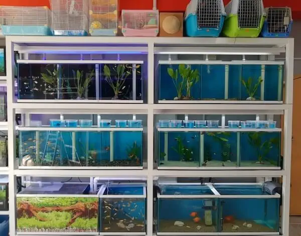 Fachada del acuario Acuario Casa Del Pez