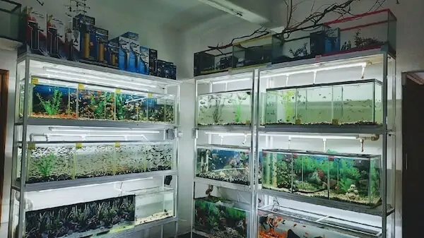 Fachada del acuario Acuario Coral