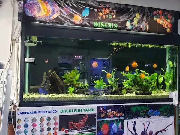Fachada del acuario Acuario del Golfo