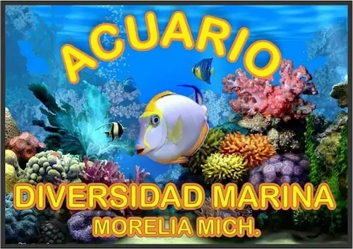 Fachada del acuario Acuario Diversidad Marina