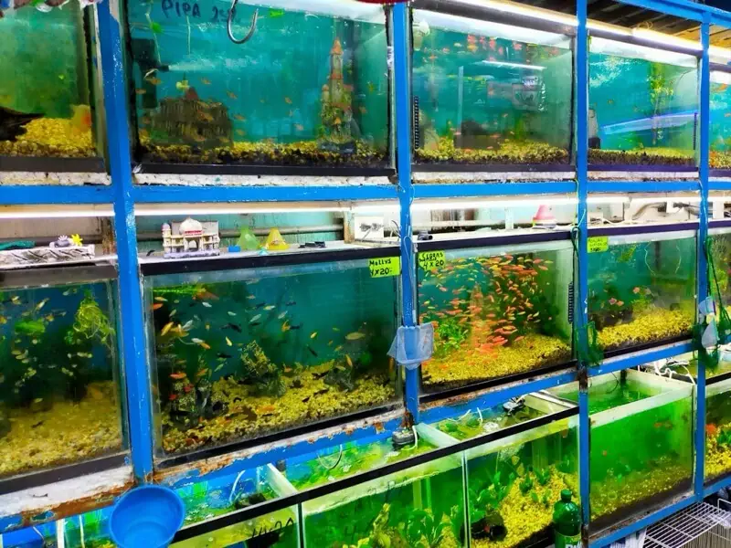 Fachada del acuario Acuario El Arca De Noé