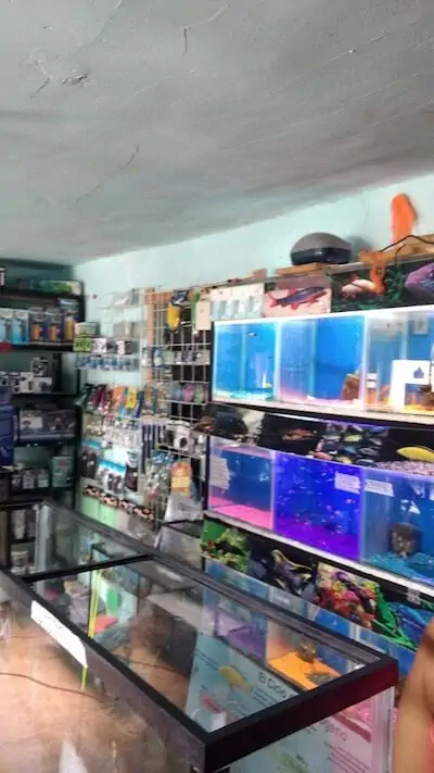 Fachada del acuario Acuario El Perla Negra