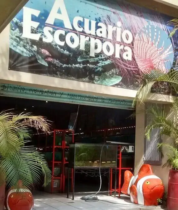Fachada del acuario Acuario Escorpora