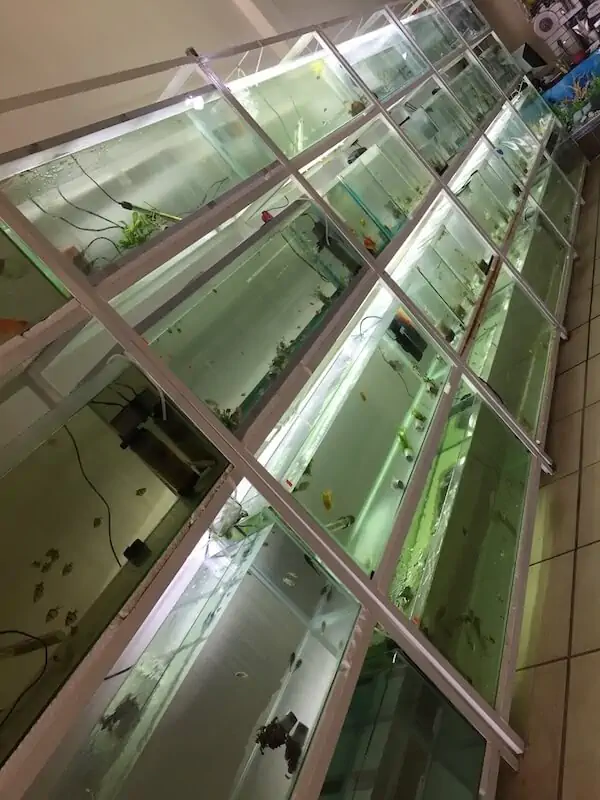 Fachada del acuario Acuario Estrella San Luis Potosi