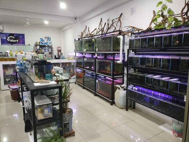 Fachada del acuario Acuario Galaxy