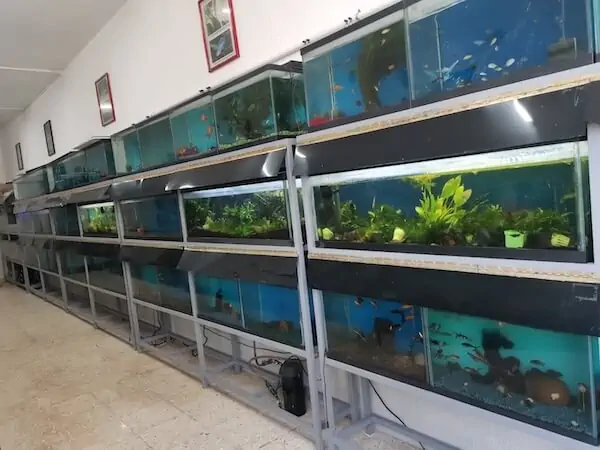 Fachada del acuario Acuario Gallery Fish