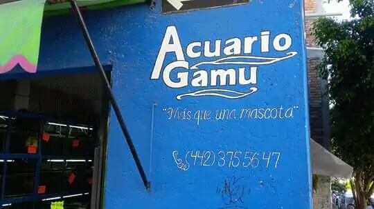 Fachada del acuario Acuario Gamu
