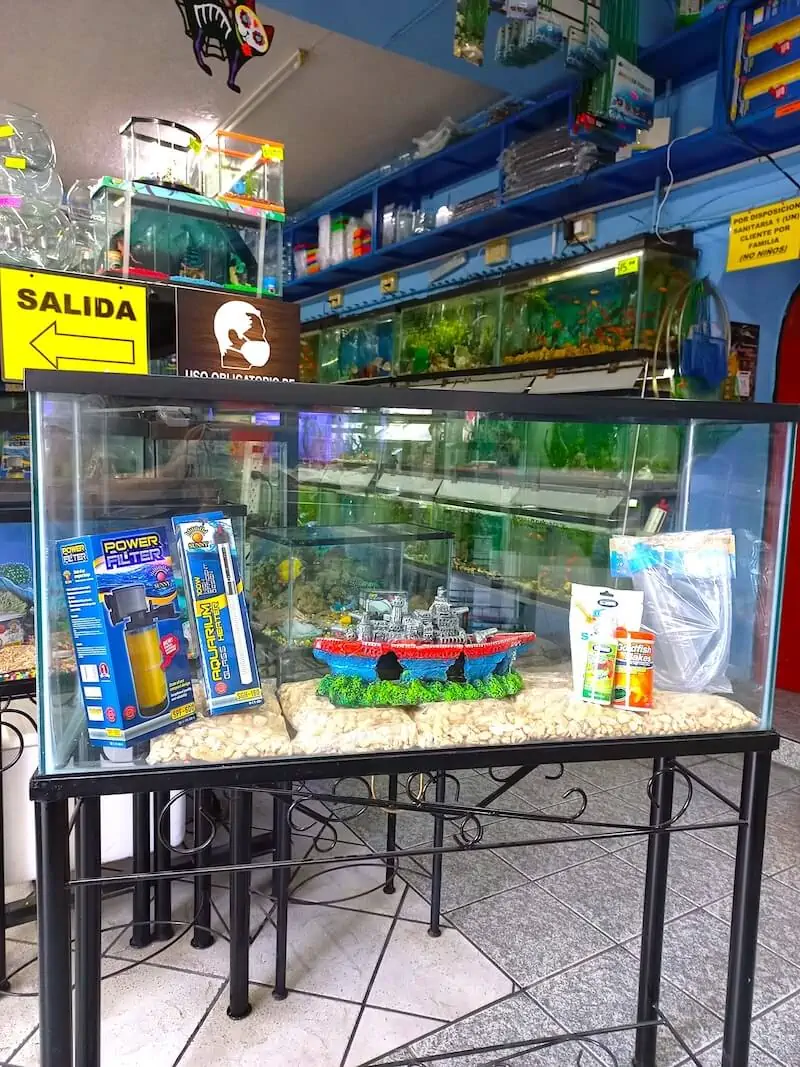 Fachada del acuario Acuario Gon-Curi