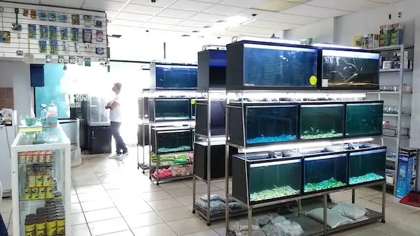 Fachada del acuario Acuario Gon Curi