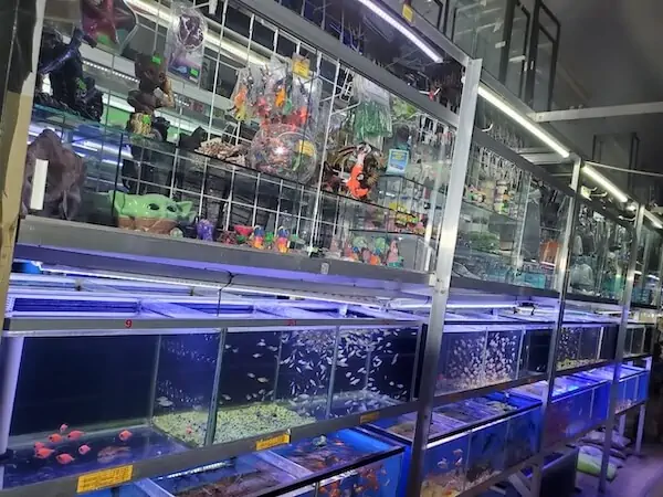 Fachada del acuario Acuario Guerrero