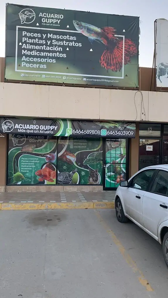 Fachada del acuario Acuario Guppy