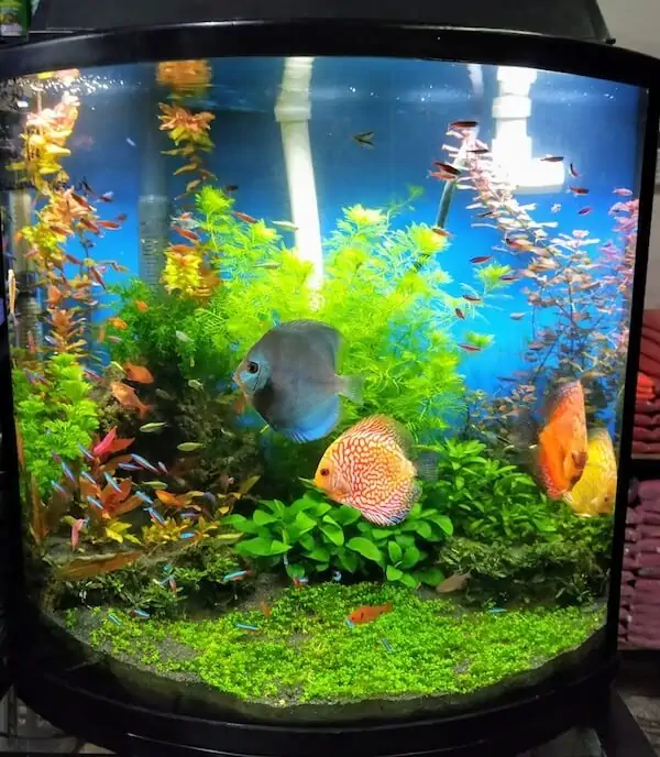 Fachada del acuario Acuario Hábitat