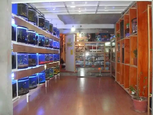 Fachada del acuario Acuario Hipocampo