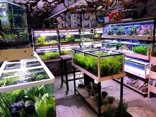 Fachada del acuario Acuario Hiroshi