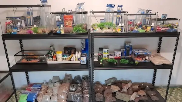 Fachada del acuario Acuario HuiPez