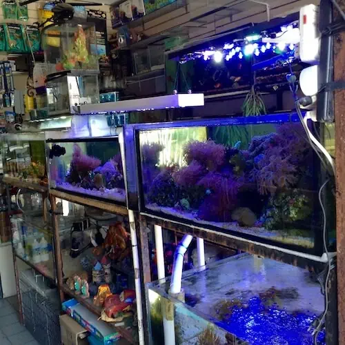 Fachada del acuario Acuario Islas