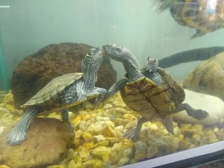 Fachada del acuario Acuario Kraken