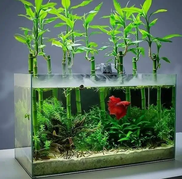 Fachada del acuario Acuario la Chata