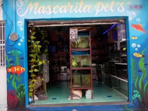 Fachada del acuario Acuario Mascarita Pet's