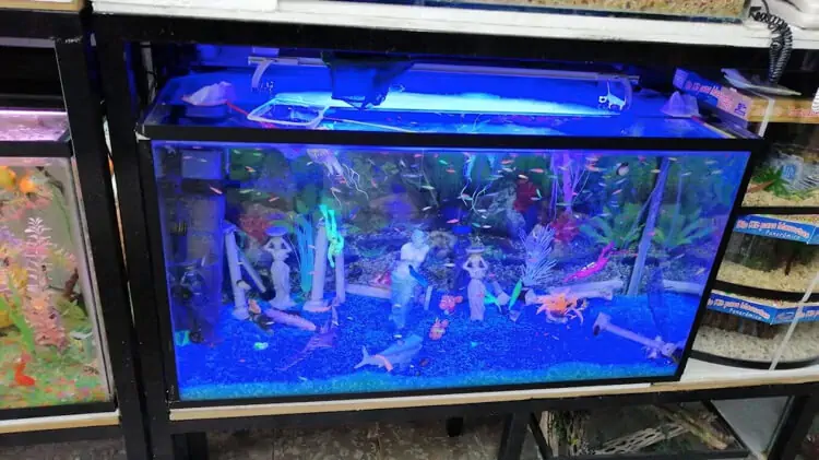 Fachada del acuario Acuario Nacozari