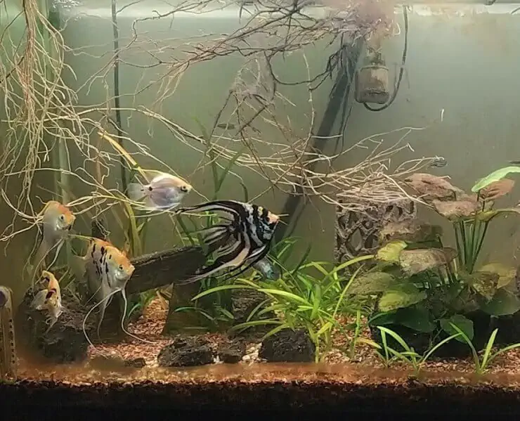 Fachada del acuario Acuario Neón