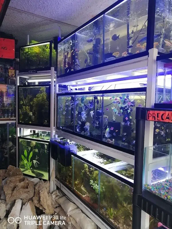 Fachada del acuario Acuario Neptuno Puebla