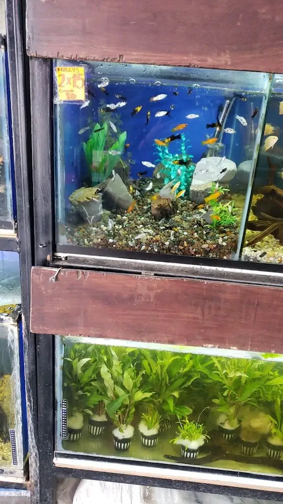Fachada del acuario Acuario NORED