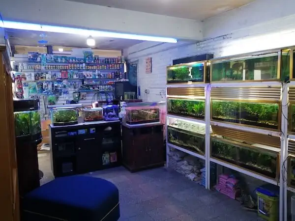 Fachada del acuario Acuario Pani