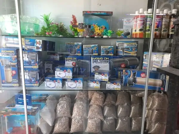 Fachada del acuario Acuario Pecelandia Zacatecas
