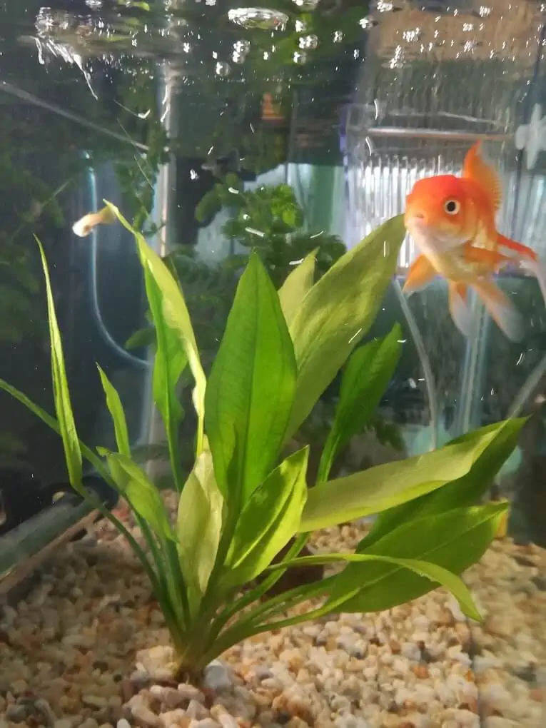 Fachada del acuario Acuario Piscis