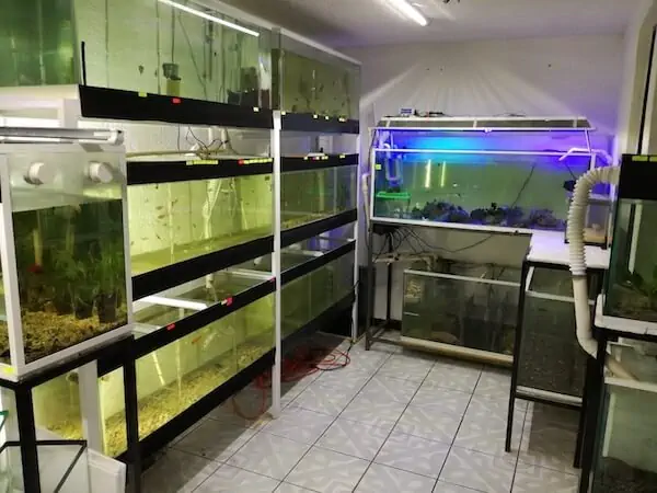 Fachada del acuario Acuario Save The Reef