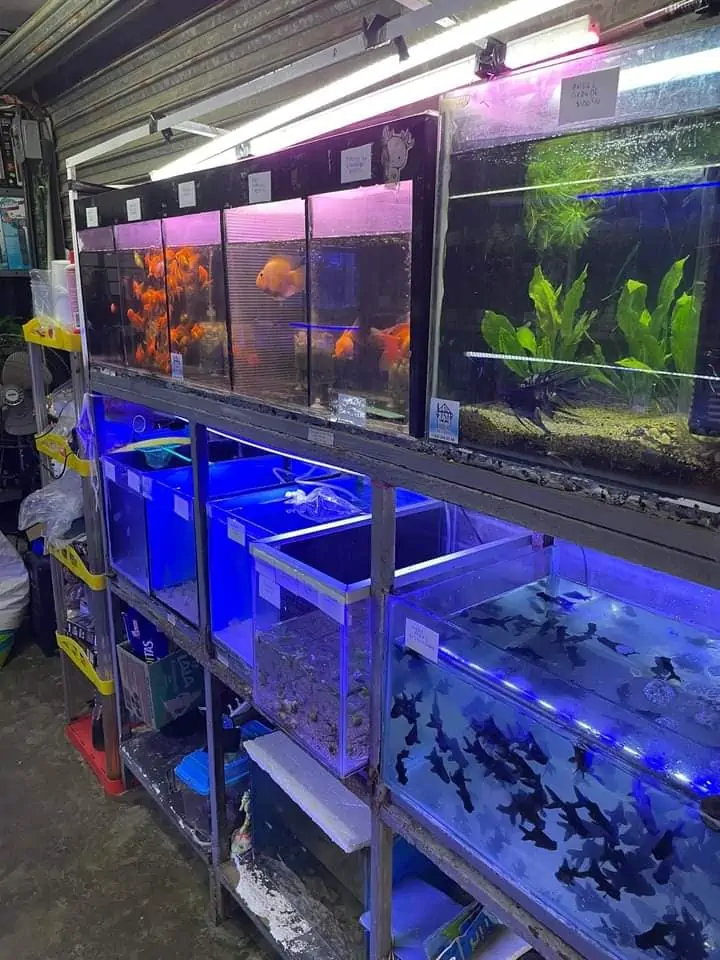Fachada del acuario Acuario The Fish House Tampico