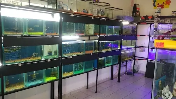 Fachada del acuario Acuario Tiburoncín