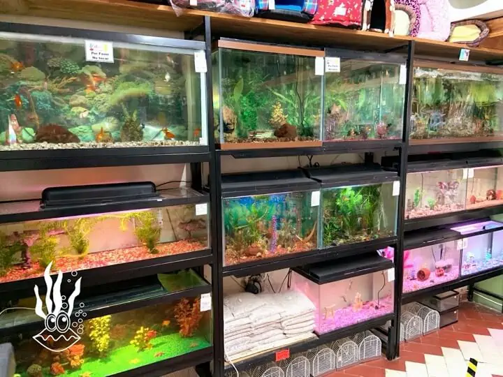 Fachada del acuario Acuario Visión