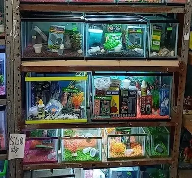 Fachada del acuario Acuario Peces de Ciudad