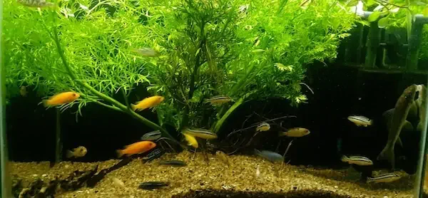 Fachada del acuario Acuario Zoogom