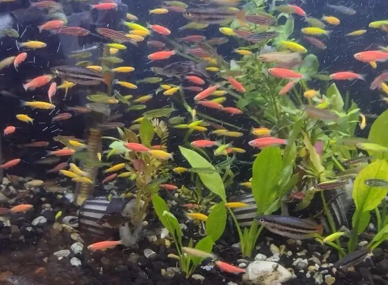 Fachada del acuario Acuatic's