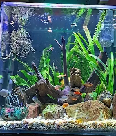 Fachada del acuario Aqua Pet Pachuca