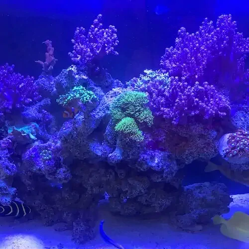 Fachada del acuario Aqua Reef