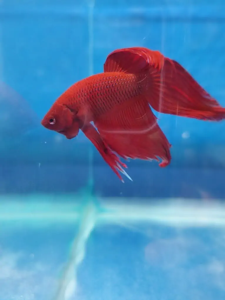 Fachada del acuario Aqua-Terra