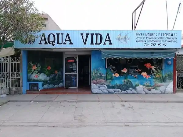 Fachada del acuario Aqua Vida Acuario